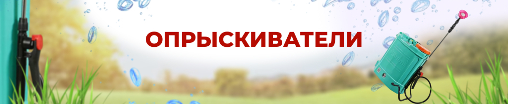 на главный баннер (4).jpg